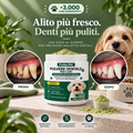 FurboPet® - Polvere Dentale per Cani con Enzimi e Probiotici